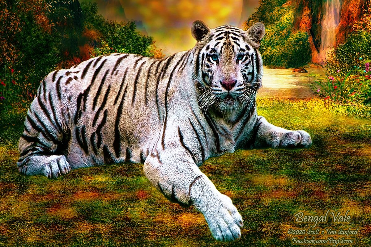 Bengal Vale