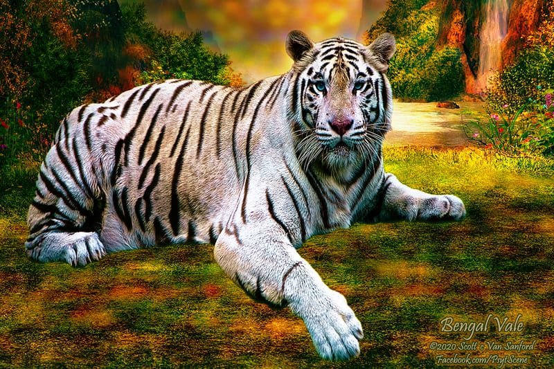 Bengal Vale