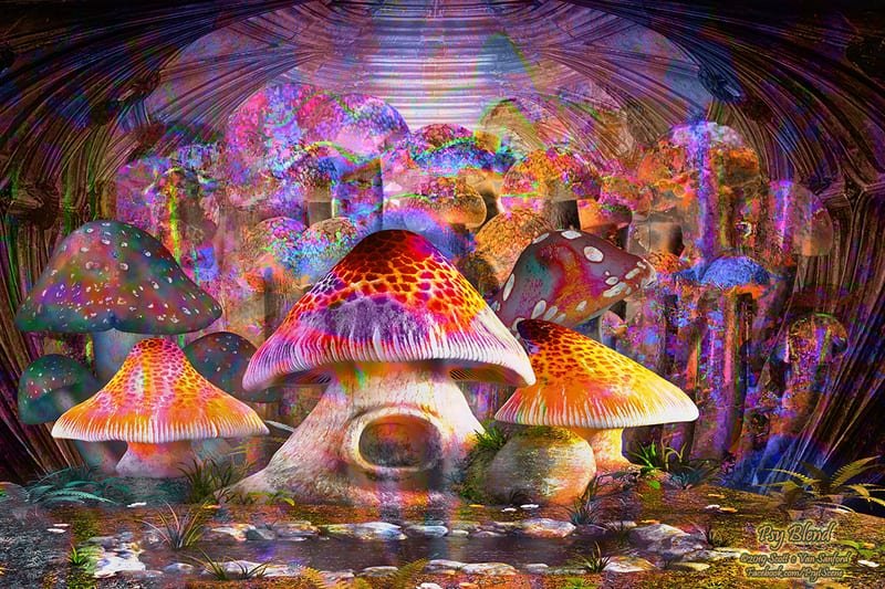 Psy Blend