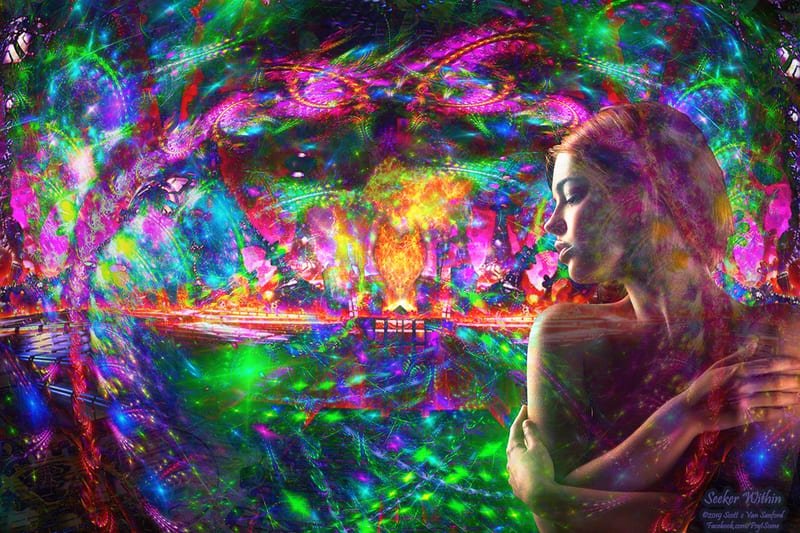 Seeker Within