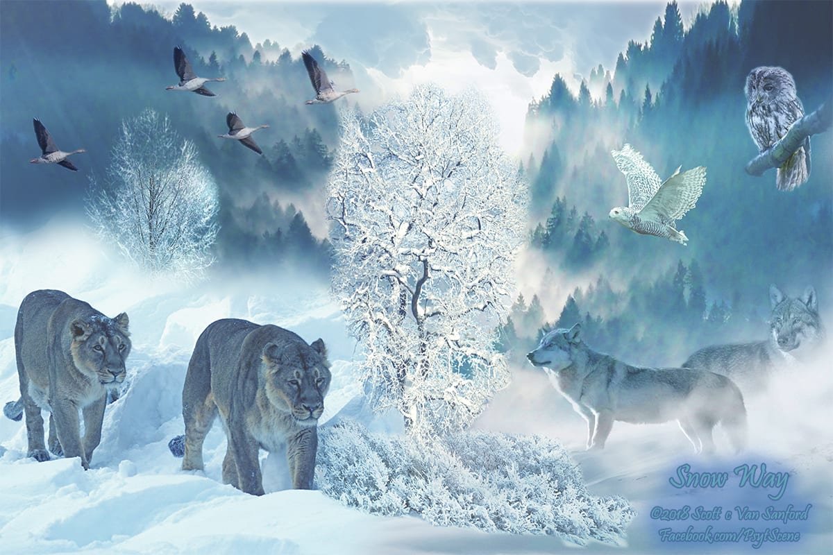 Snow Way