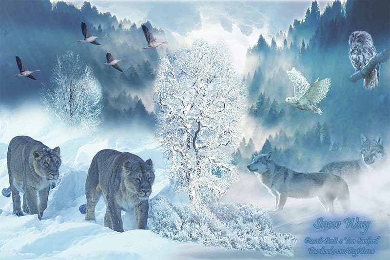 Snow Way
