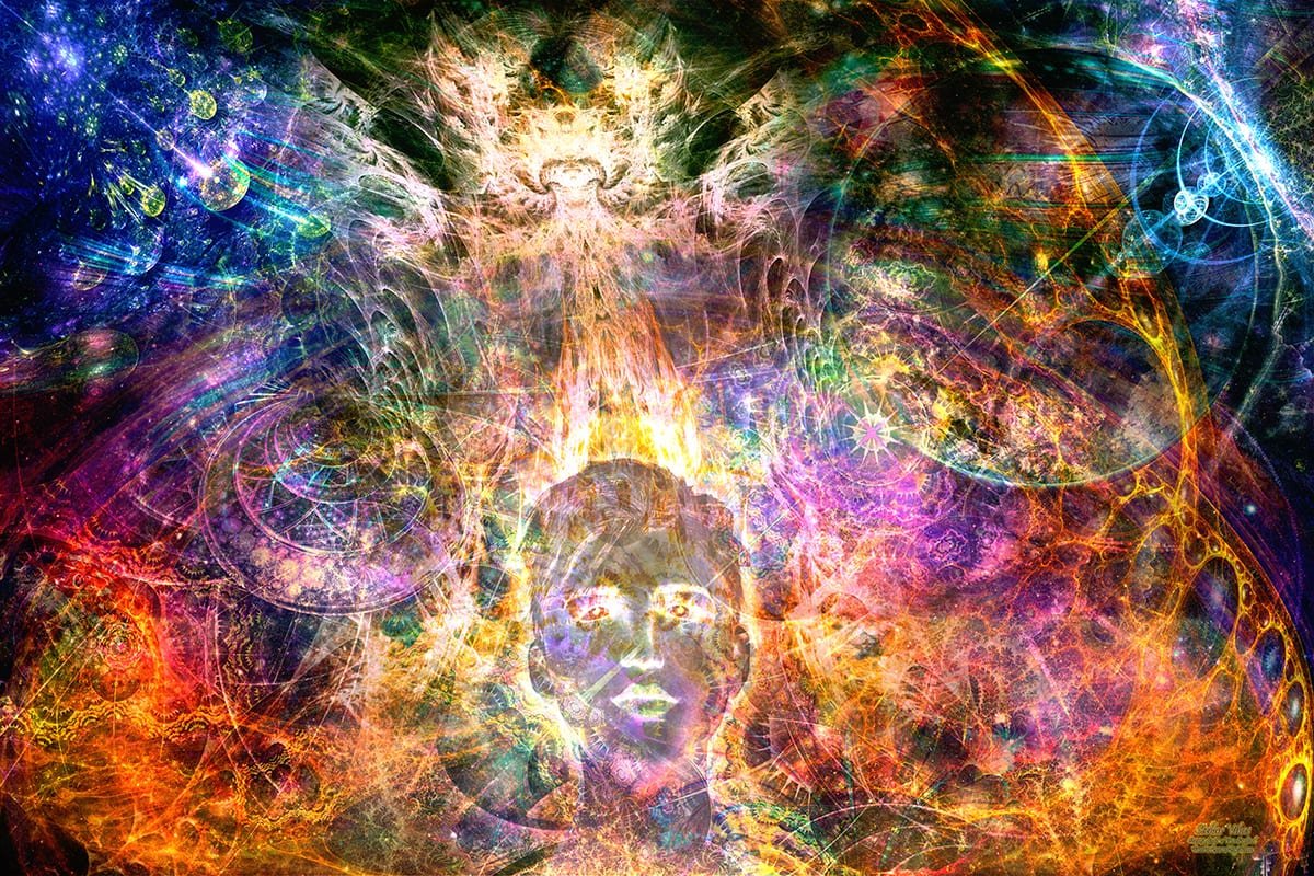 Stellar Vibes