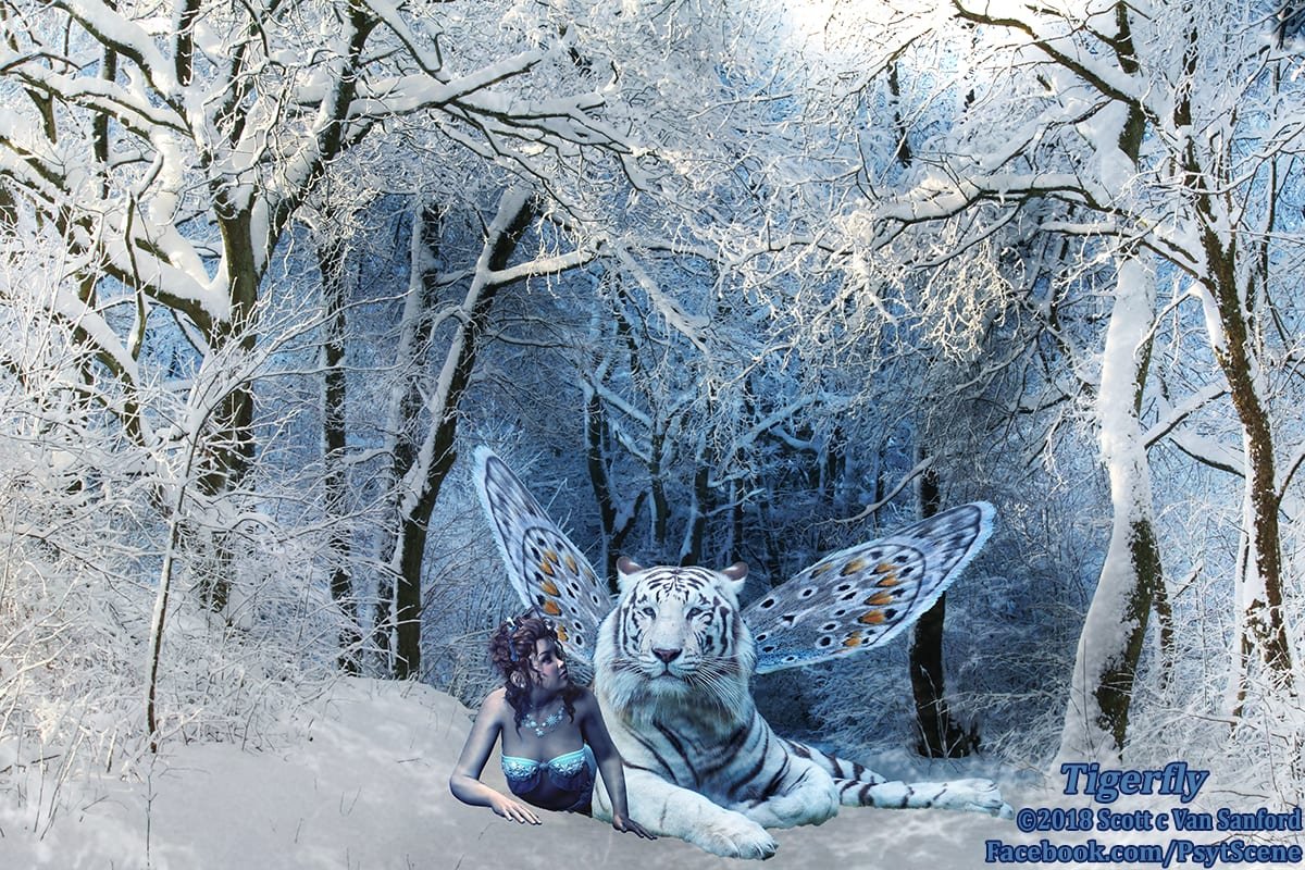 Tigerfly