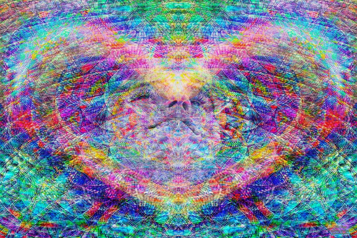 Vibe Sings