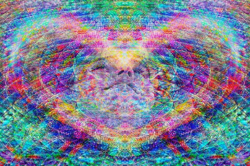 Vibe Sings