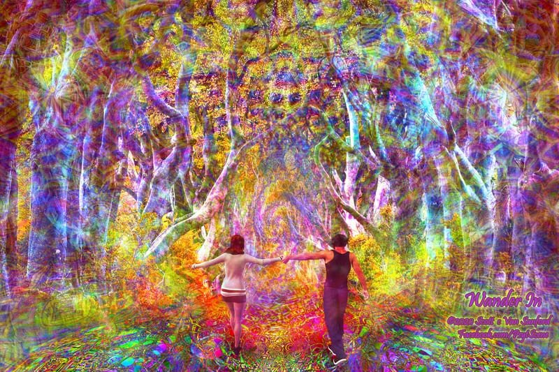 Wander In