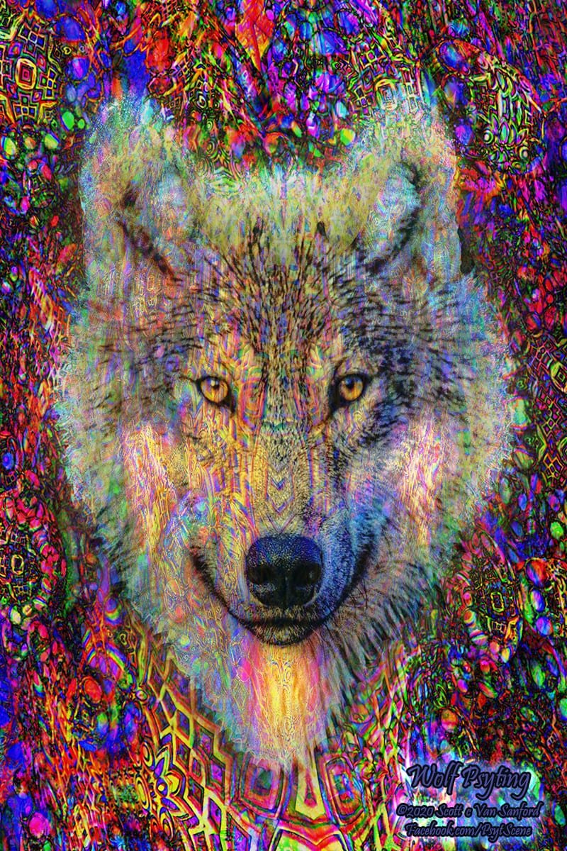 Wolf Psyting